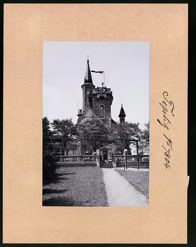 Fotografie Brück & Sohn Meissen, Ansicht Teplitz, Kaiser Franz Josef-Warte auf der Königshöhe