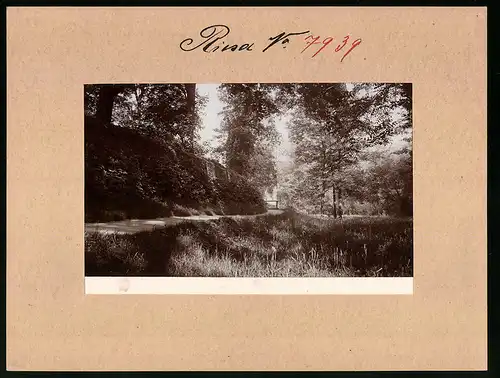 Fotografie Brück & Sohn Meissen, Ansicht Riesa, Partie am Poetenweg