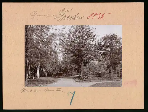 Fotografie Brück & Sohn Meissen, Ansicht Dresden, Park beim Garnisionslazarett