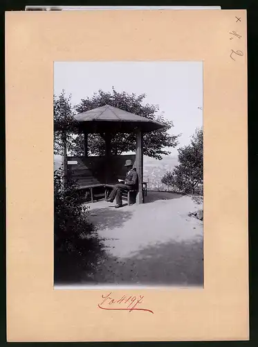 Fotografie Brück & Sohn Meissen, Ansicht Rosswein, Pilz-Aussichtspunkt in der Hartenberg-Anlagen