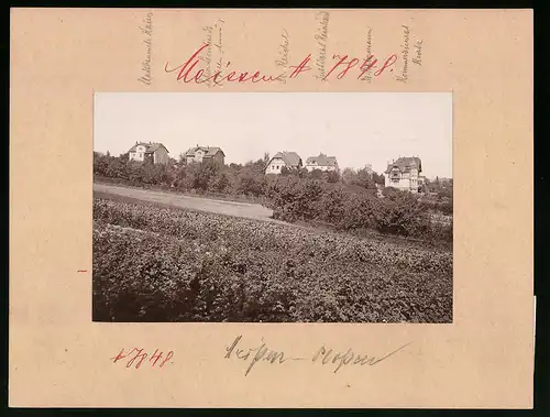 Fotografie Brück & Sohn Meissen, Ansicht Meissen-Plossen, Villen in Hanglage