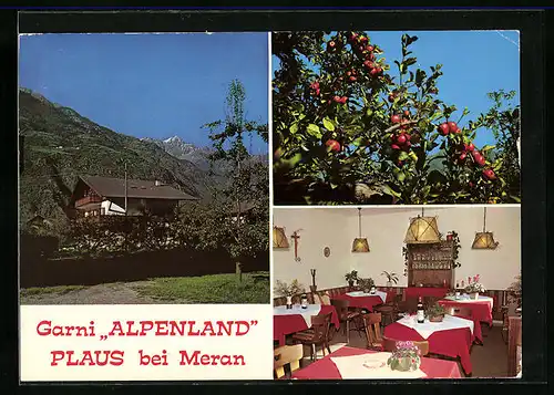 AK Plaus bei Meran, Pension Garni Alpenland, Gröbenweg 8, Innenansicht, Äpfel am Baum