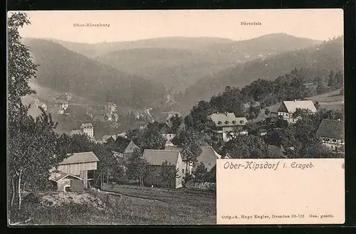 AK Ober-Kipsdorf /Erzgeb., Ortsansicht mit Bärenfels