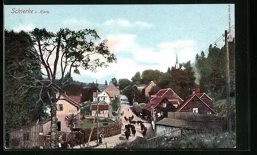AK Schierke /Harz, Ortspartie mit Kühen