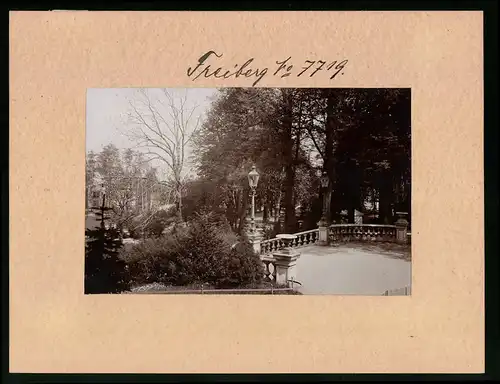Fotografie Brück & Sohn Meissen, Ansicht Freiberg i. Sa., Partie im Albertpark mit Terrasse