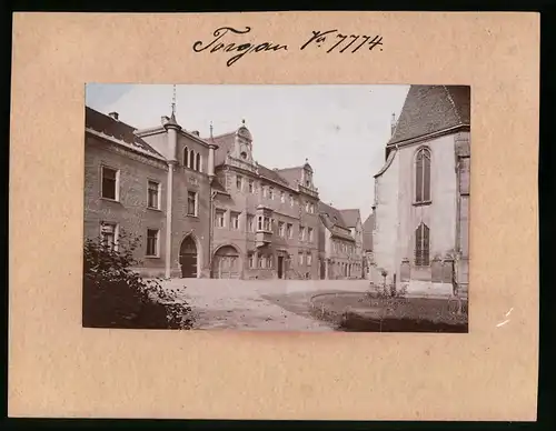 Fotografie Brück & Sohn Meissen, Ansicht Torgau / Elbe, Blick auf das Haus Wintergrüne