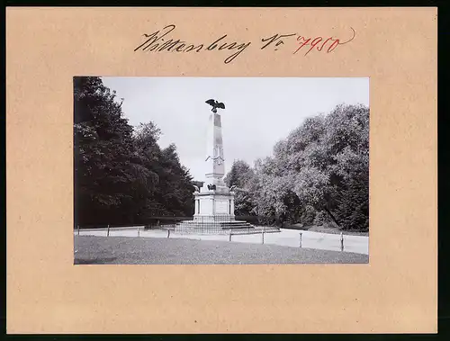 Fotografie Brück & Sohn Meissen, Ansicht Wittenberg a. Elbe, Blick auf das Kriegerdenkmal im Stadtpark