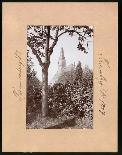 Fotografie Brück & Sohn Meissen, Ansicht Tanneberg Bez. Dresden, Blick über die Hecke auf die Kirche