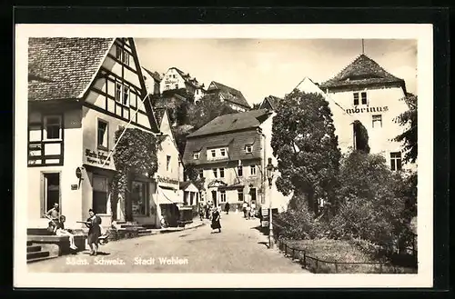 AK Wehlen, Strassenpartie mit Fleischerei