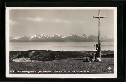 AK Blick vom Herzogenhorn im Schwarzwald, am Gipfelkreuz