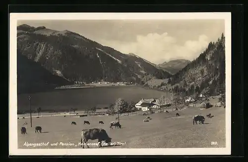 AK Haller, Alpengasthof und Pension Haldensee