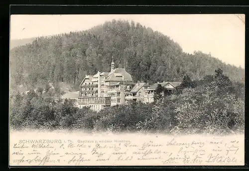 AK Schwarzburg i. Th., Gasthaus z. weissen Hirschen