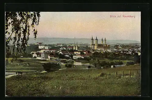 AK Naumburg a. Saale, Totalansicht