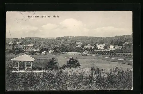 AK Bad Salzhausen, Ortsansicht mit Blick über die Felder