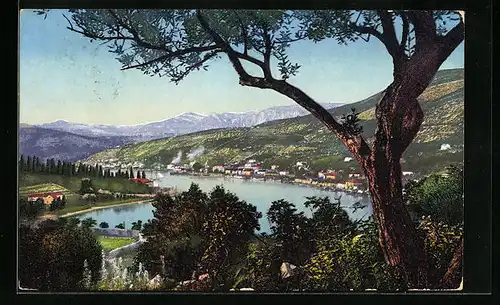 AK Gravosa, Totale mit Ölbaum