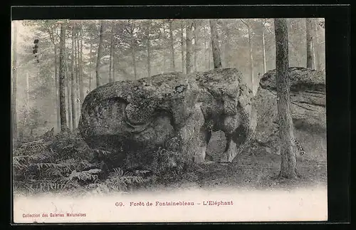 AK Foret de Fontainebleau, l'Eléphant