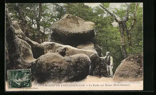 AK Foret de Fontainebleau, La Roche qui Remue