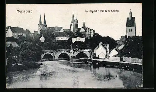 AK Merseburg, Saalepartie mit Schloss