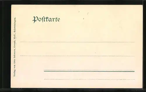 AK Schwetzingen, Moschee