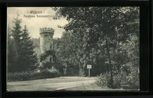 AK Potsdam, Wildpark, Forsthaus Sanssoucitor
