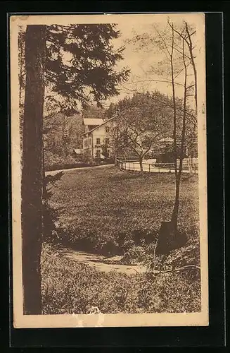 AK Langebrück i. Sa., Blick zum Gasthaus Haidemühle