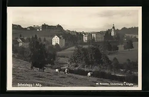 AK Scheidegg / Allgäu, Gesamtansicht