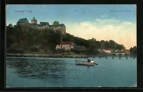 AK Leisnig i. Sa., Partie an der Mulde