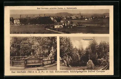 AK Bad Dürrheim, Ortstotale, Neckarquelle, Donauquelle