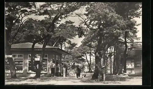 AK Dierhagen, Ladenstrasse am Ostseestrand