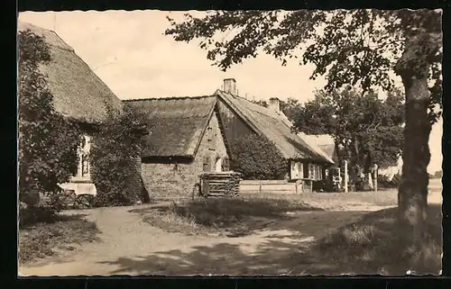 AK Lobbe auf Rügen, Bauernhäuser