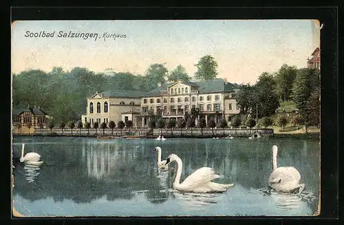 AK Bad Salzungen, Schwäne auf dem See vor dem Kurhaus