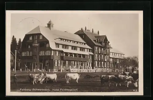 AK Feldberg im Schwarzwald, das Hotel Feldbergerhof