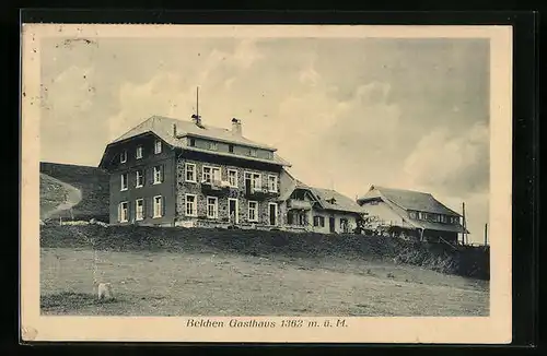 AK Münstertal / Schwarzwald, Gasthaus Belchen