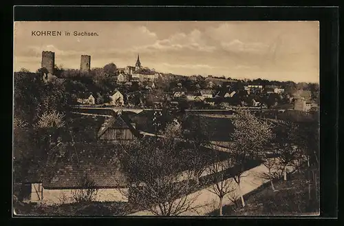 AK Kohren / Sachsen, Totalansicht