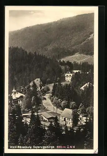 AK Wald-Bärenburg / Osterzgebirge, Gesamtansicht