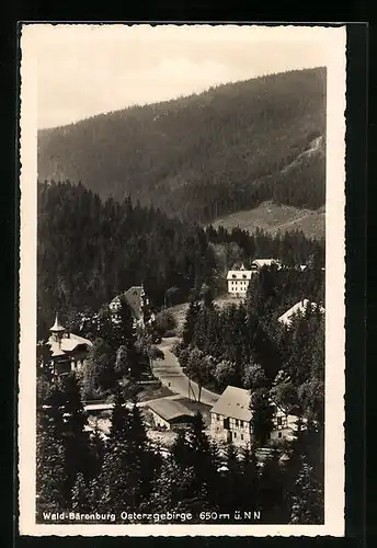 AK Wald-Bärenburg / Osterzgebirge, Gesamtansicht