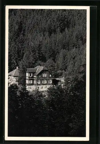 AK Kipsdorf / Erzgeb., Haus Waldesruh