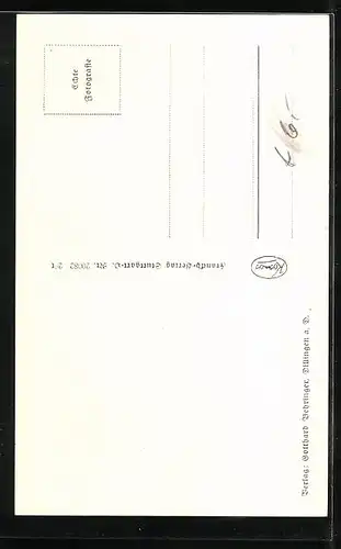 AK Dillingen a. D., Teilansicht