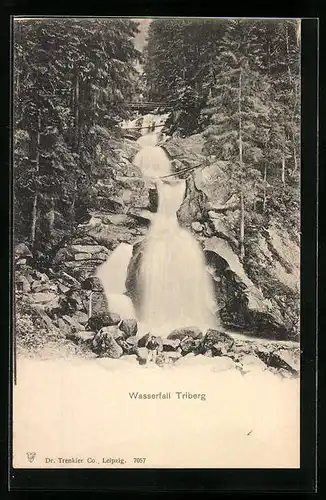 AK Wasserfall Triberg, Gesamtansicht