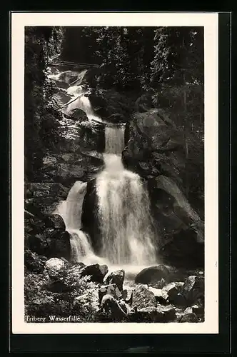 AK Partie an Triberg Wasserfälle