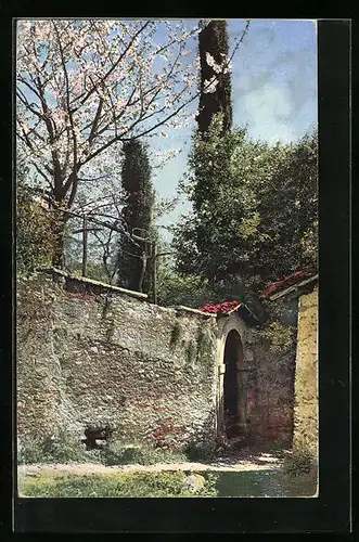 Künstler-AK Photochromie Nr. 1822: Partie an einer alten Mauer