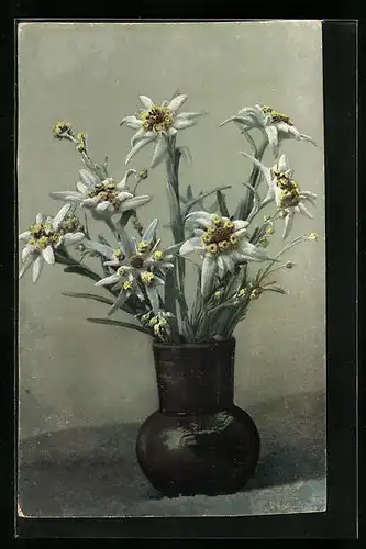 Künstler-AK Photochromie Nr. 483: Alpenblumen, Edelweiss in einer Vase