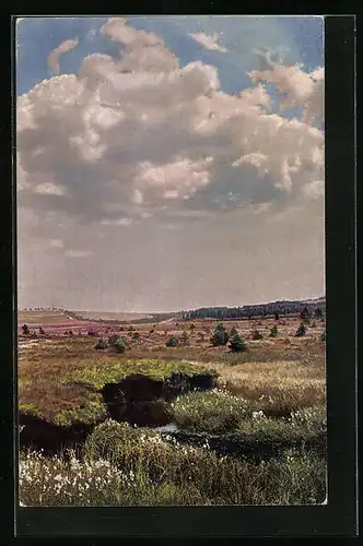 Künstler-AK Photochromie Nr. 3455: Landschaftsbild