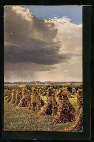 Künstler-AK Photochromie Nr. 4157: Landschaftsbild mit Getreidfeldern
