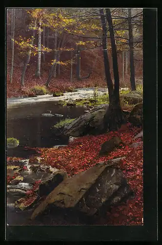 Künstler-AK Photochromie Nr. 4007: Waldidylle am Bach im Herbst