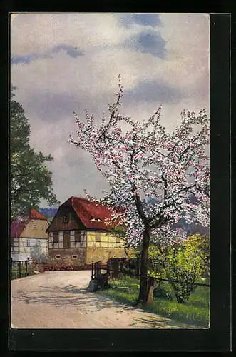 Künstler-AK Photochromie Nr. 4101: Häuserpartie zur Baumblüte