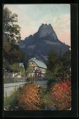 Künstler-AK Photochromie Nr. 2499: Partie am Sperlingstein