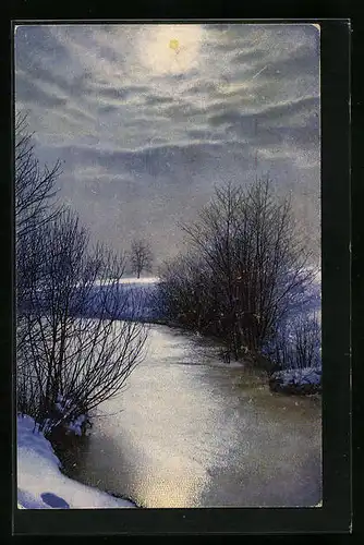Künstler-AK Photochromie Nr. 4048: schneebedeckte Landschaft bei Mondschein