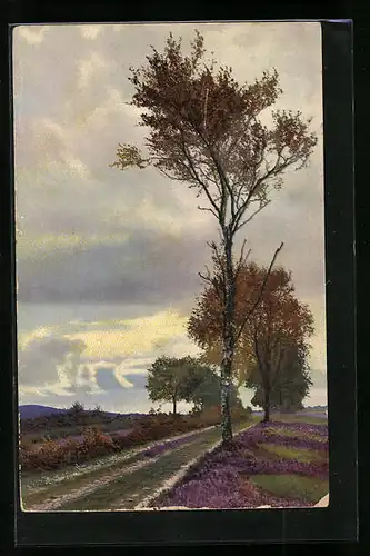 Künstler-AK Photochromie Nr. 3097: Landschaftsbild mit Bäumen in Herbstfarben