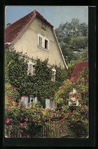 Künstler-AK Photochromie Nr. 1992: Haus mit schönem Vorgarten